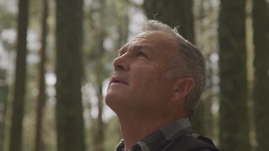 Man standing still in the middle of a wooded area looking up into the air