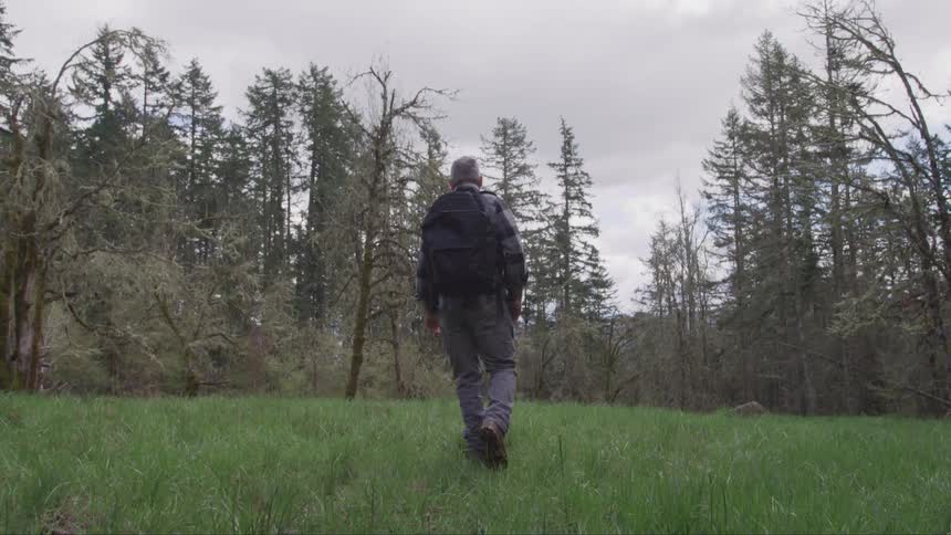 A hiker with a backpack walks towards trees in a forest