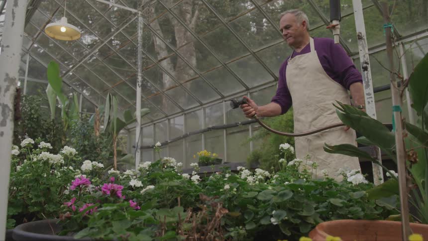 A man sprays the garden with water
