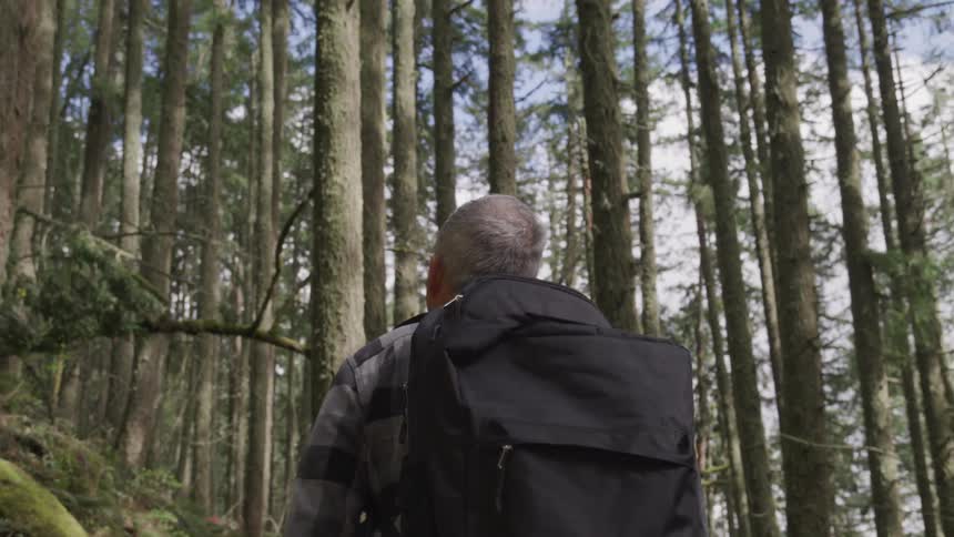 A man hikes in a forest with a black backpack