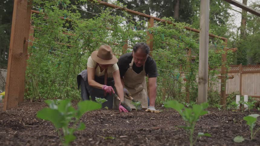 A couple kneels on the ground planting in their garden