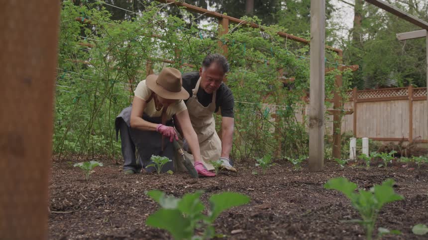 A man and woman are gently pressing the ground around aplant in a garden