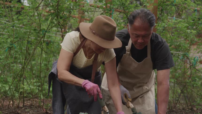 A man and woman gardening together during the day