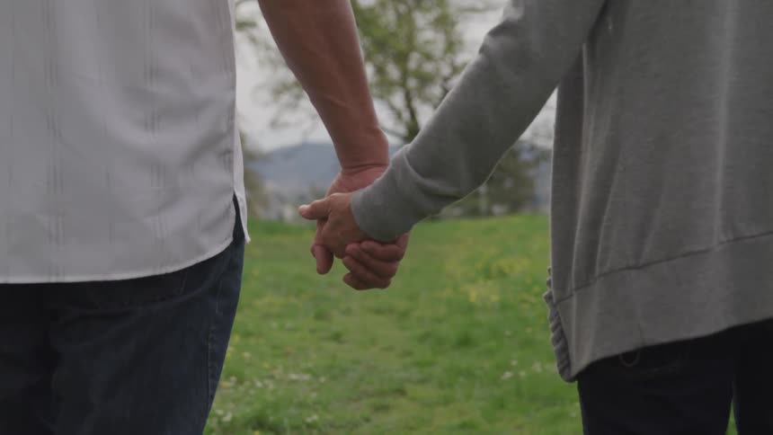 Two people holding hands looking at the grass and trees and hills on the horizon
