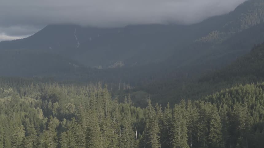 An aerial view of cloudy mountain and forest