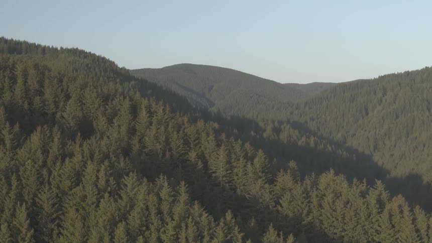 Shadows stretch out over forested hills