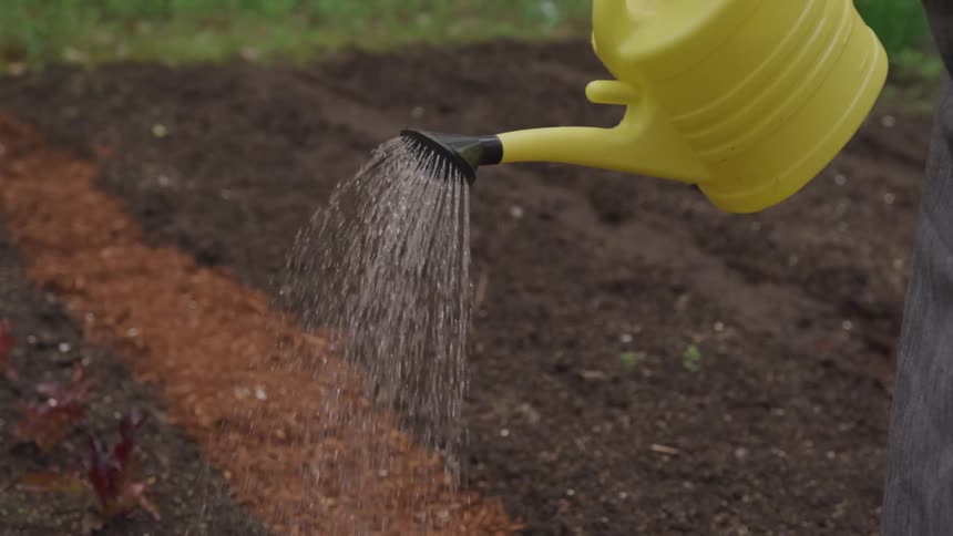 Water flows through the funnel of a watering can