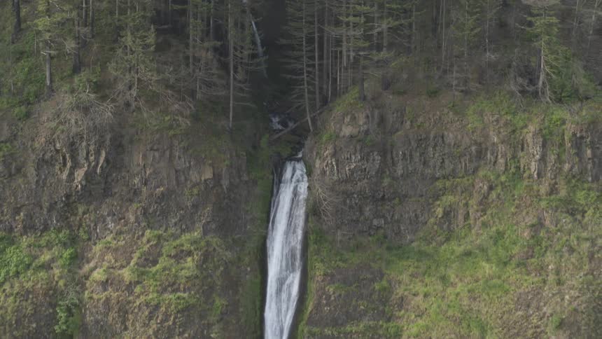 A water fall in the middle of a forest