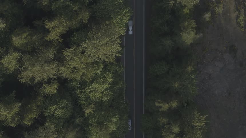 Cars driving on a roadway in the woods