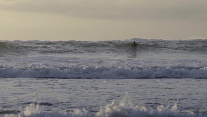 Surfers quietly float on gentle ocean waves, enjoying a peaceful break from the busy world.