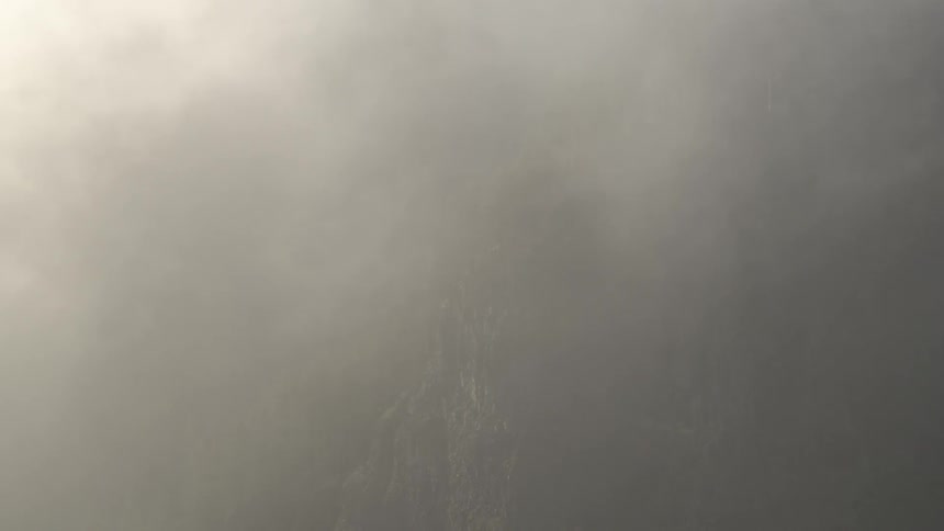 Fog covered hill side
