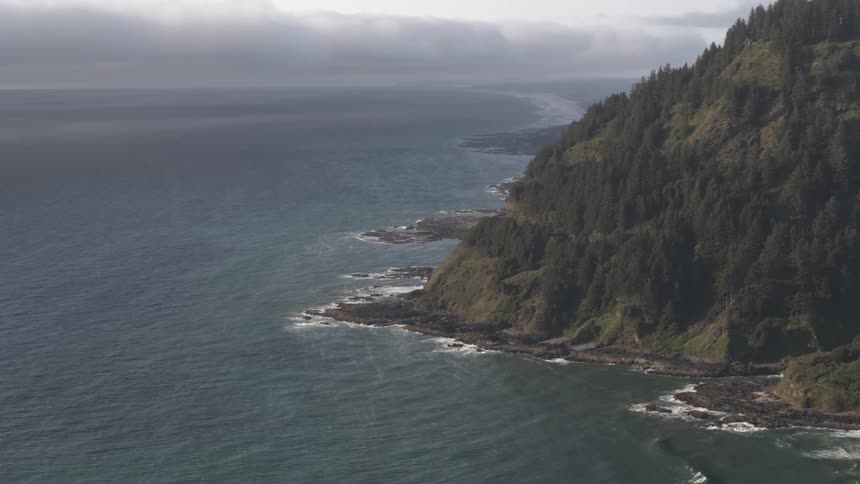 Waves roll in against a rocky coast line with a hillside covered in trees