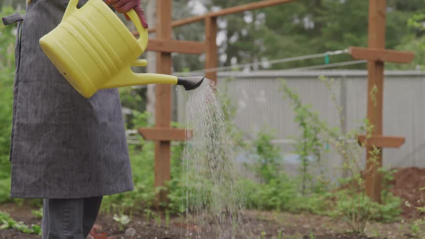 Women watering plants
