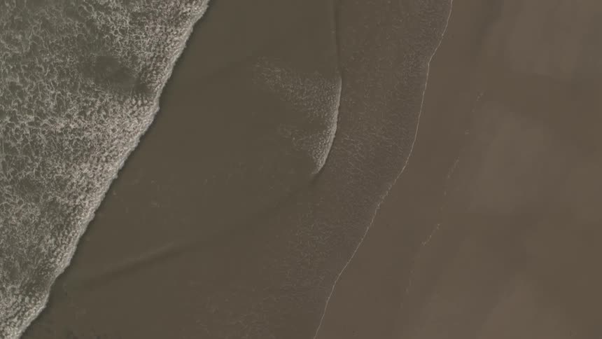 A bird view of waves at the beach