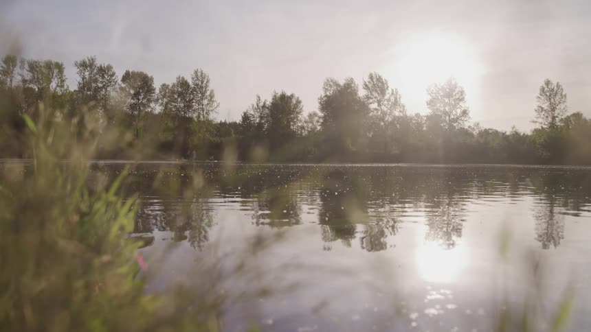 Light reflect on surface of lake surrounded by trees