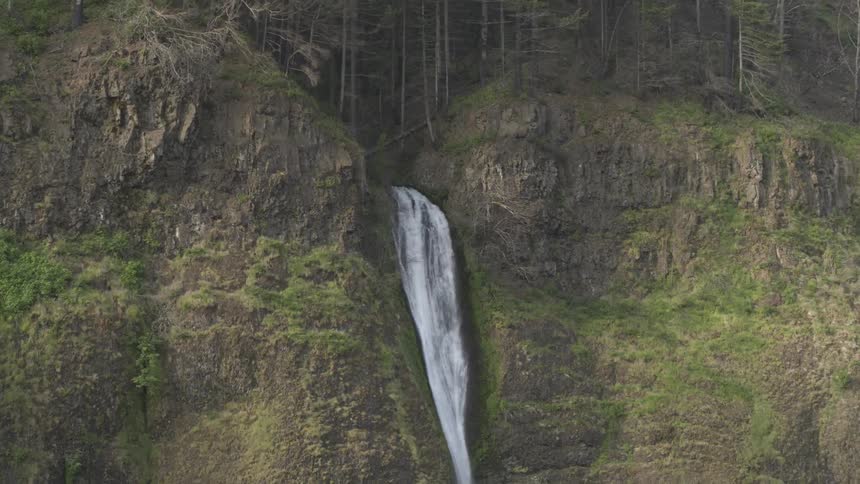 A tall skinny waterfall pours out of a mossy cliff in a forested area