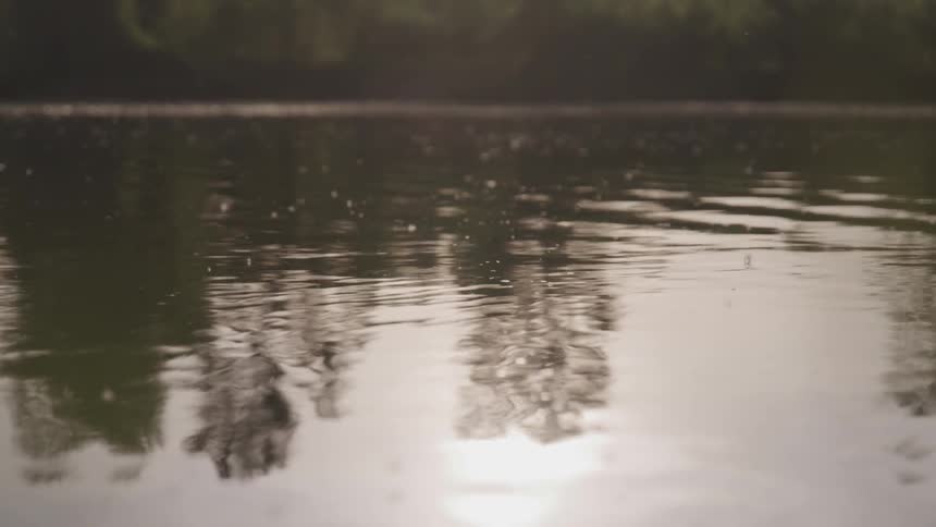 Calm water ripples on a lake