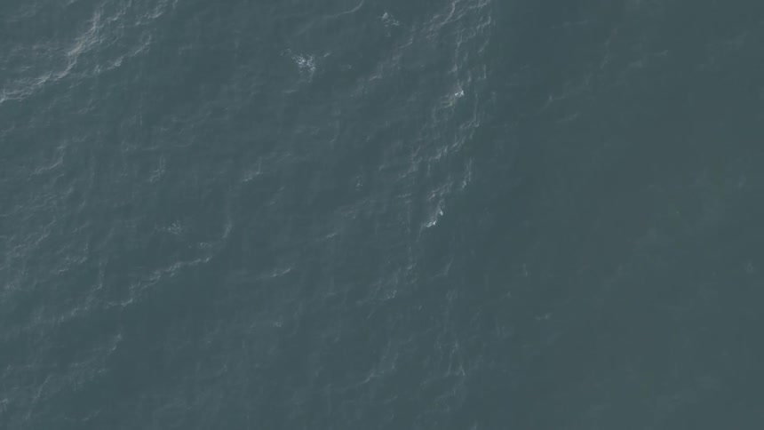 The open ocean on a sunny day
