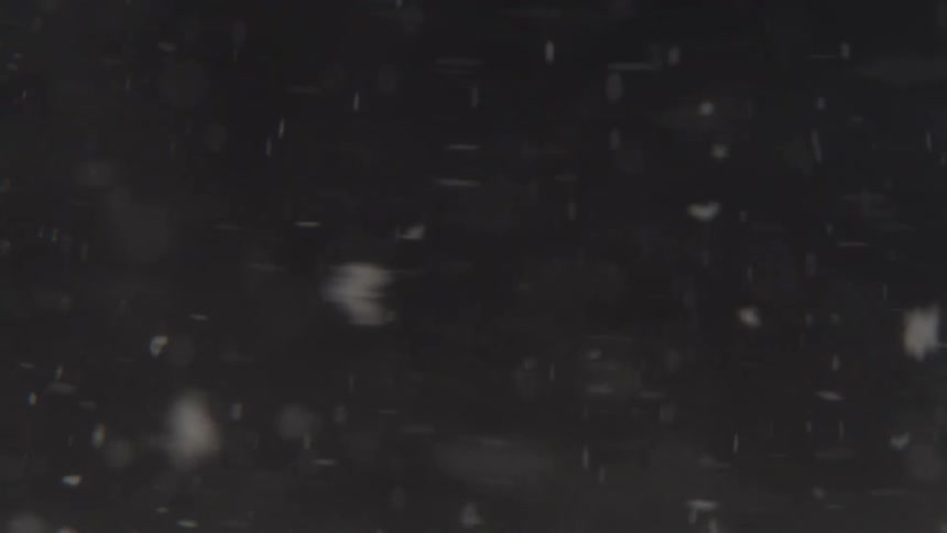 Snowflakes float in the dark night