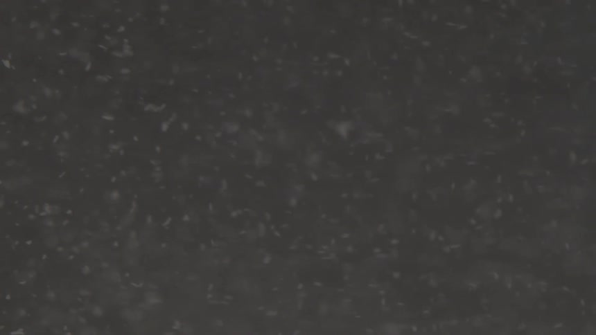 Abstract view of white dots floating