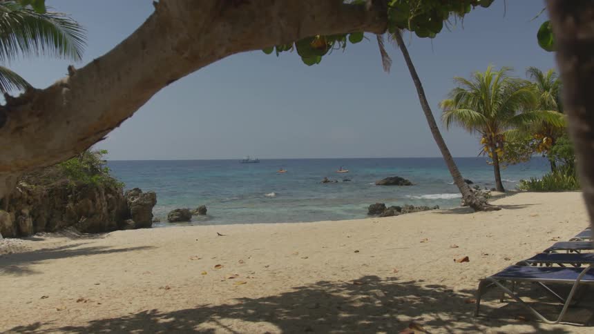 A tree lined sandy beach with lounge chairs and calm water