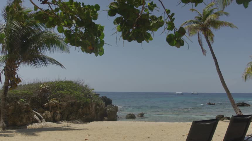 A small beach area with grass and trees on a sunny day