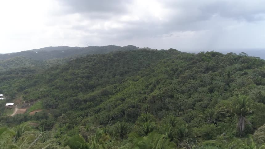 Aerial view of forest covered hills and distant buildings