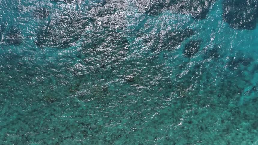 Waves roll across a clear blue ocean
