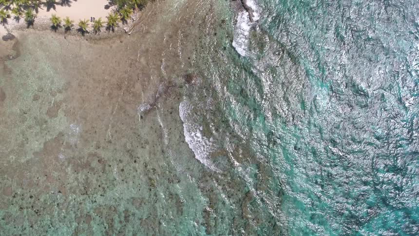 Ocean waves being blown by the wind are washing up the shores of a palm tree lined beach adjacent to a pair of luxurious residences
