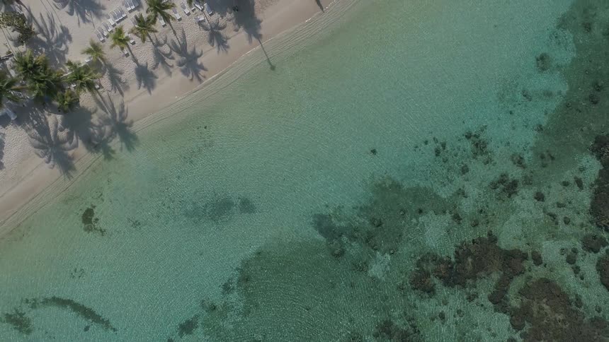 Flying over a beach that has many palm trees on it