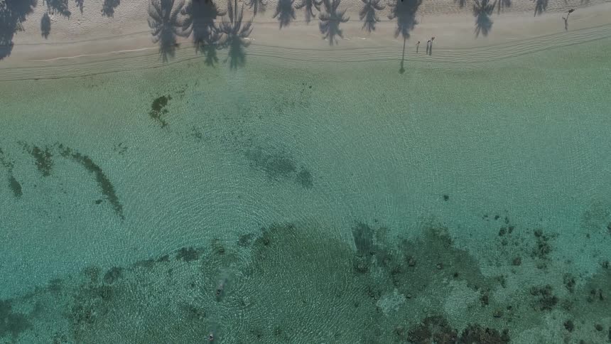 Circular ripples in a water near the coast