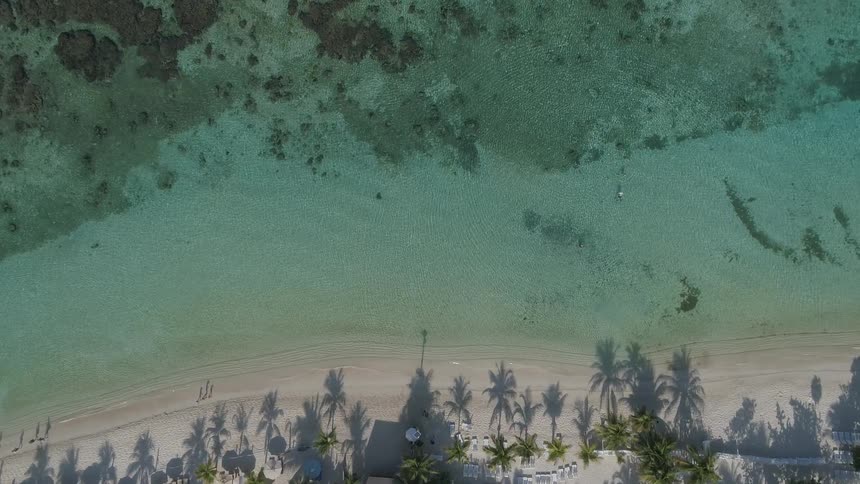 Clear tropical waters on a coach with palm trees and white sand