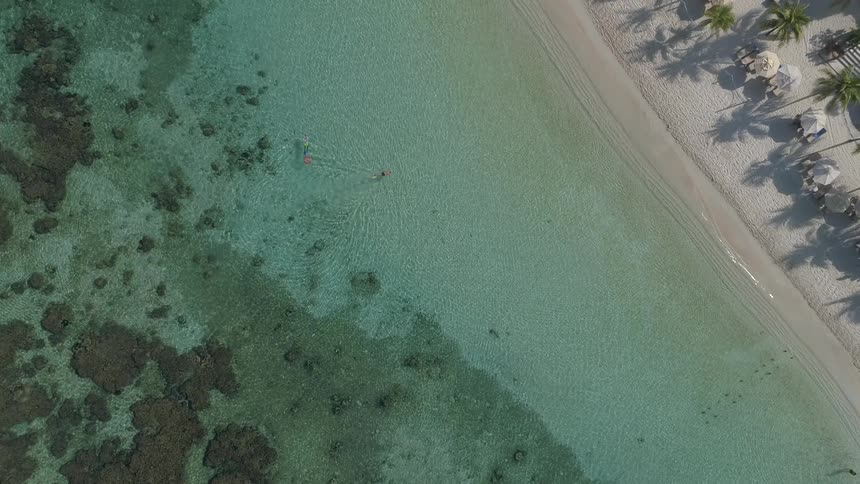 People swimming in the shallow blue green water off the coast of a beach