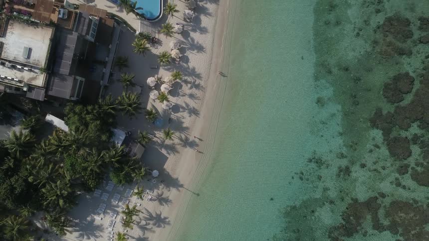 Sandy beach sits next to the clear water