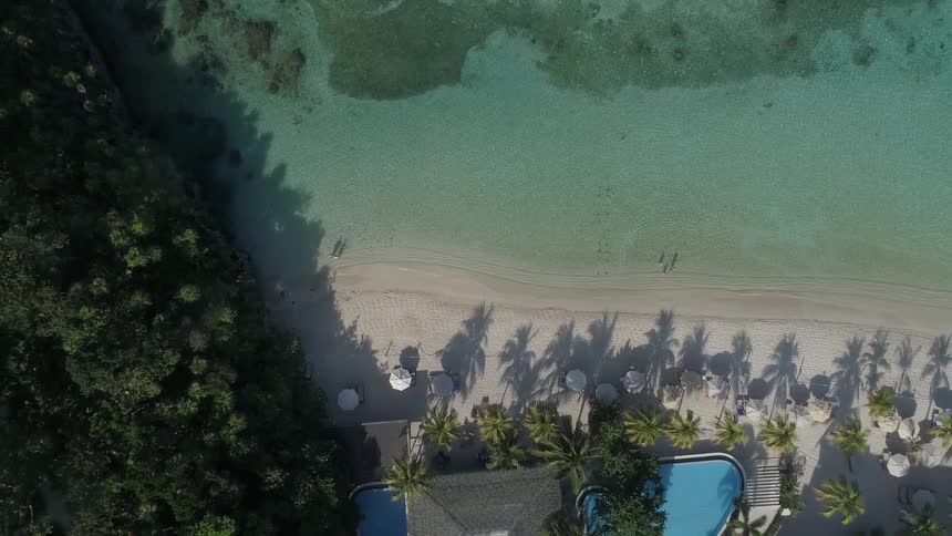 A beach resort at the edge of clear ocean water is lined with multiple palm trees lounge chairs and umbrellas