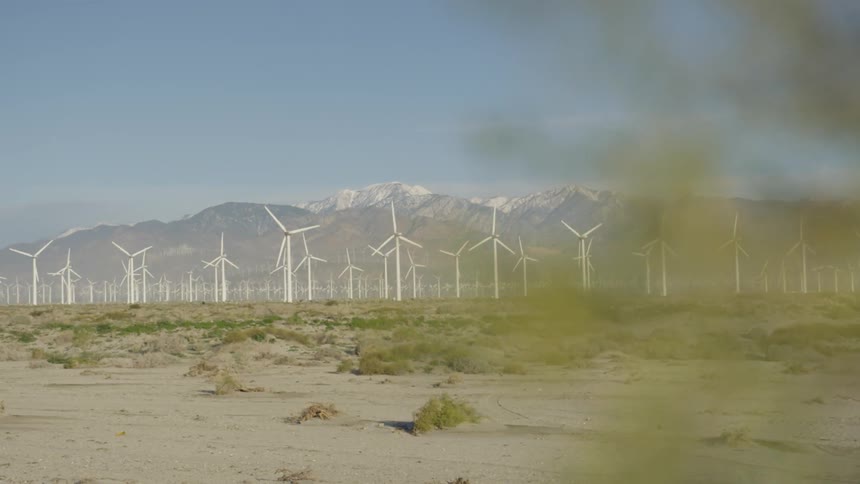 Windmills in a field