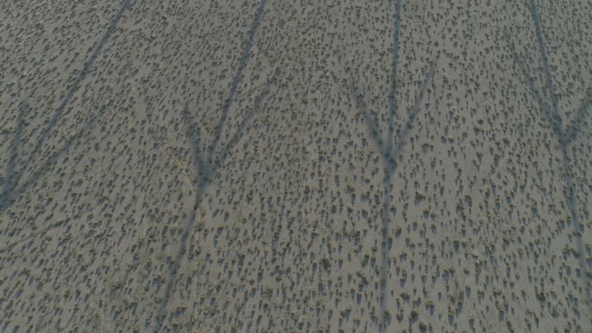 A group of shadows from wind turbine projected on deserted land