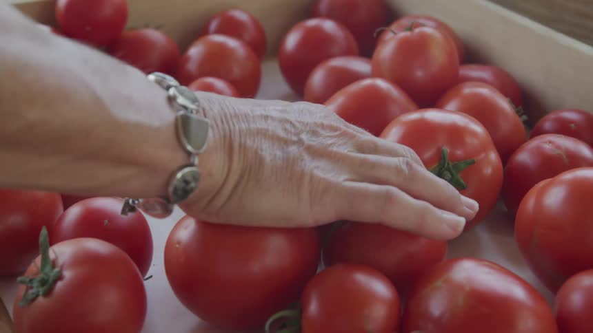 A person takes a tomato from a crate