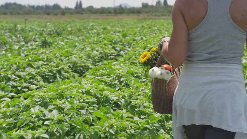 A person walking on a farm with a basket of flowers and vegetables