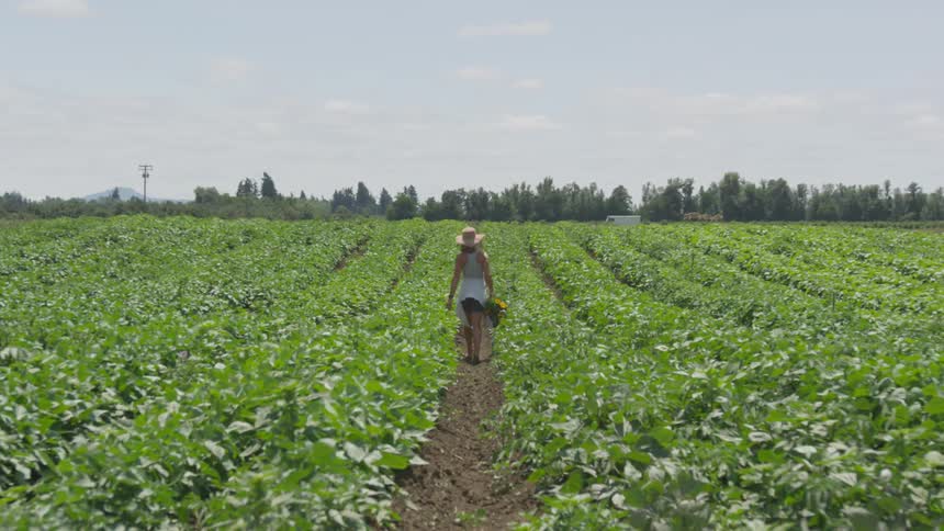 Woman walking through a field with a bucket of flowers in her hand