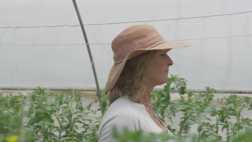 A white woman wearing a sun hat is walking through rows of tallplants in a garden