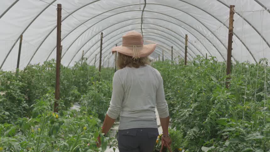 A white woman wearing a straw hat strolls through a greenhouse