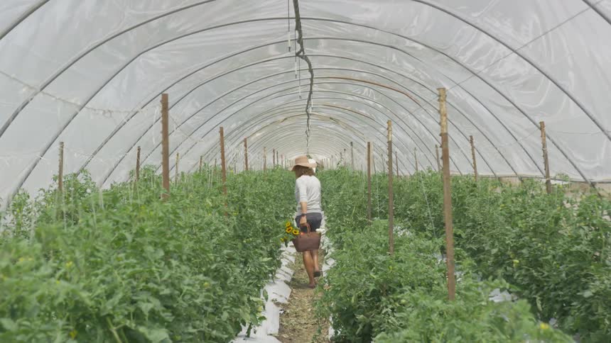 A woman walking through a green house carrying a bag filled with flowers