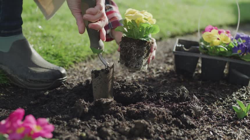A gardener digs in soil with a spade and plants flowers