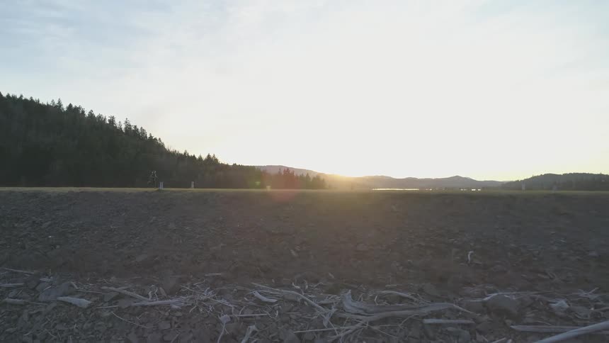 A woman runs across a field