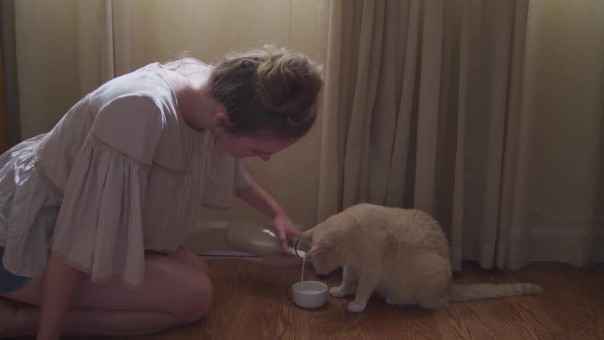 A girl pours milk in a bowl for a cat