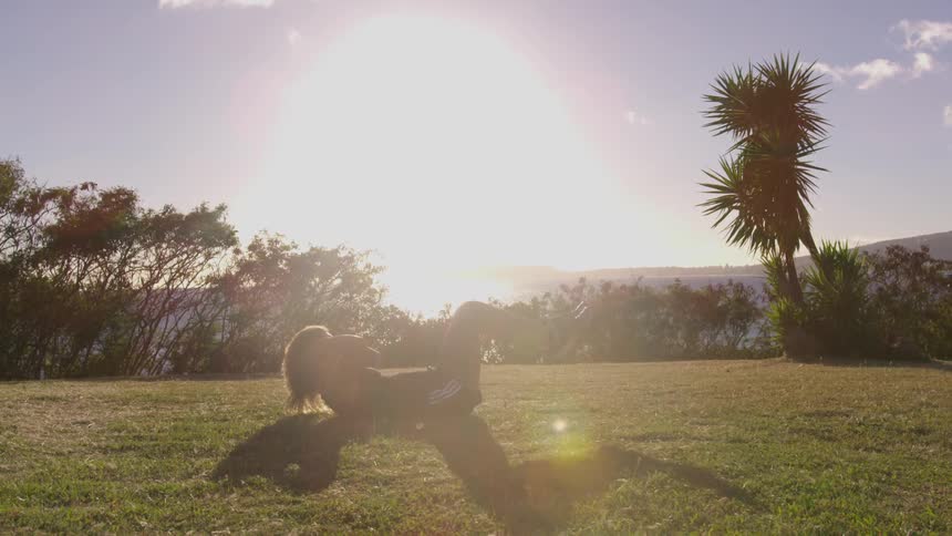 Woman works out on the lawn while the sun shines
