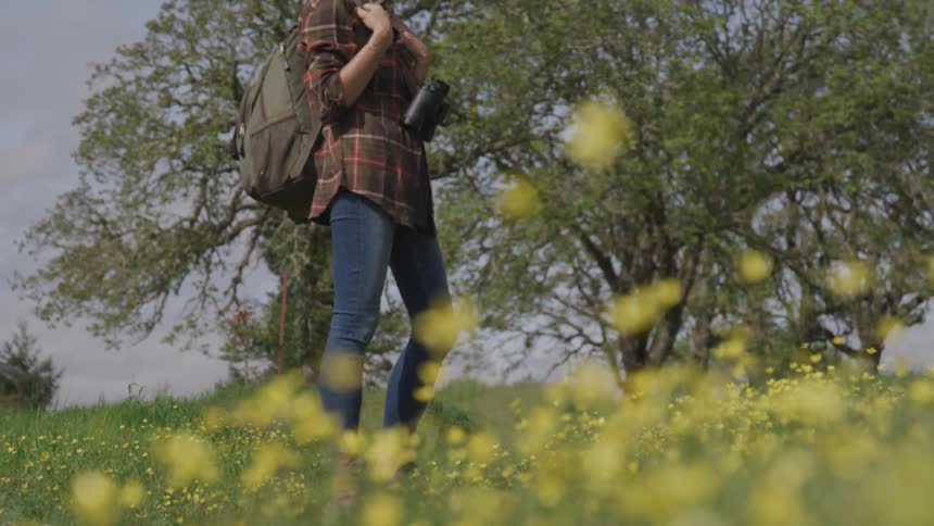 A hiker stands in a field with flowers