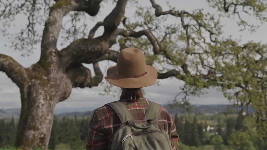 A female hiker looking out over the countryside from near a tree atop a hill
