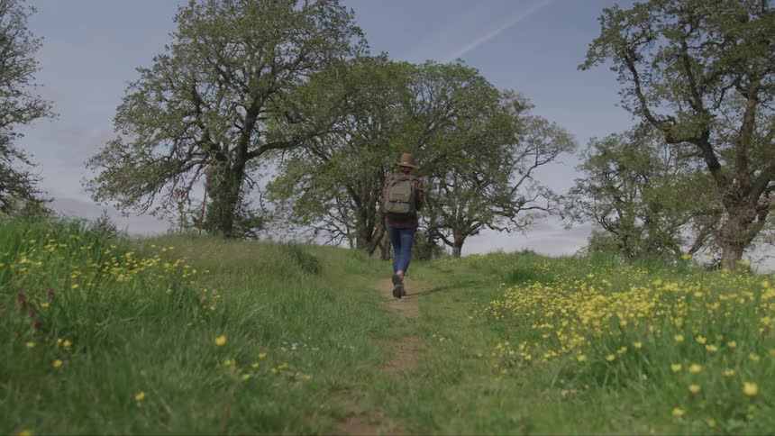 A person walks a path through a flower filled field